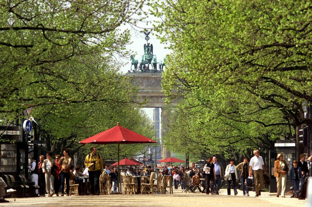 Debatte um 95.000-Euro-Bäume in München: BdB fordert Einordnung Die Pläne der Landeshauptstadt München