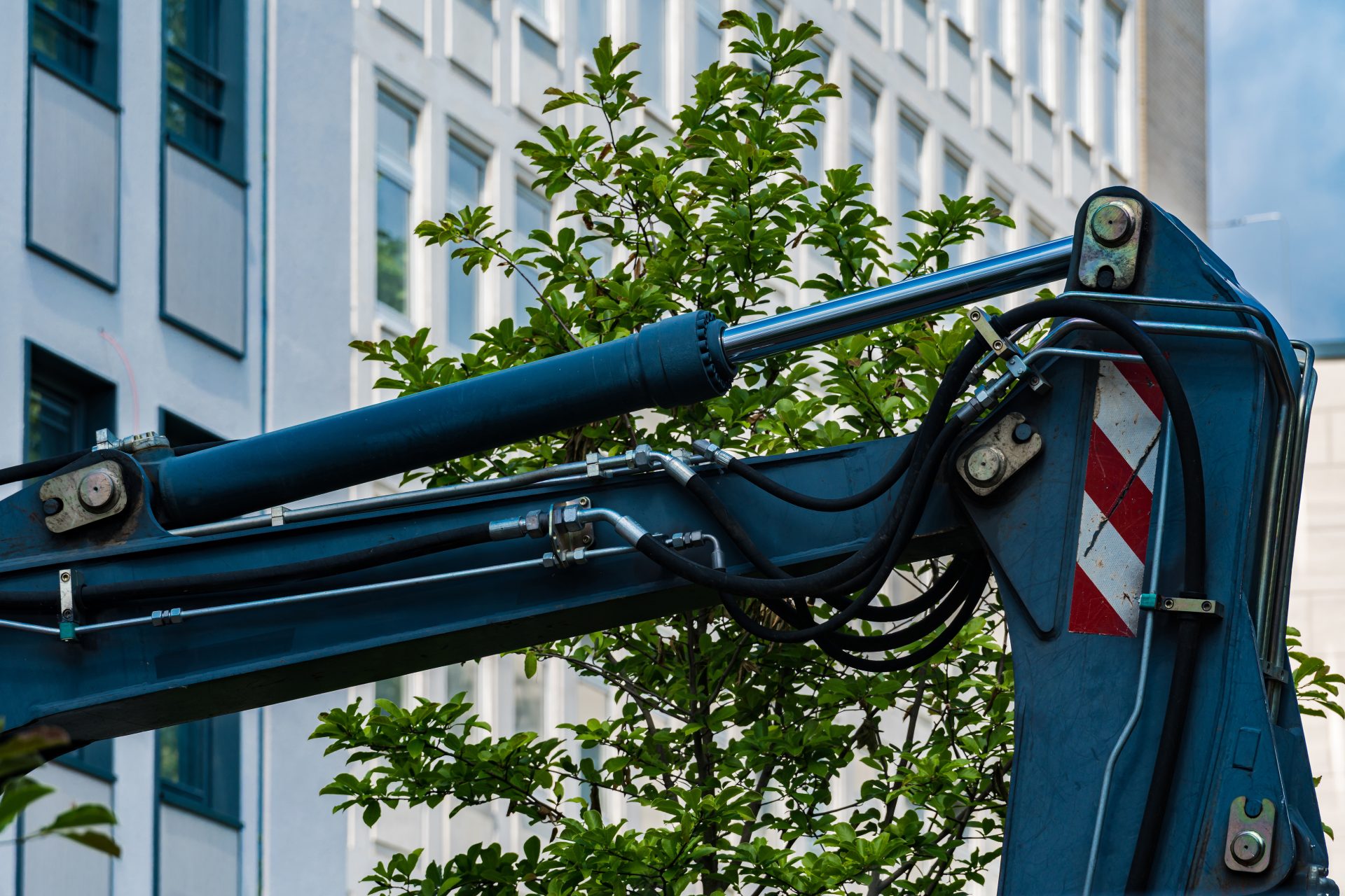 Debatte um 95.000-Euro-Bäume in München: BdB fordert Einordnung